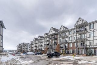 Photo 33: 408 6703 New Brighton Avenue SE in Calgary: New Brighton Apartment for sale : MLS®# A1072646