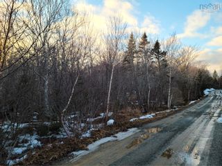 Photo 6: Lot 6 Scott Bay Avenue in Western Head: 406-Queens County Vacant Land for sale (South Shore)  : MLS®# 202202202