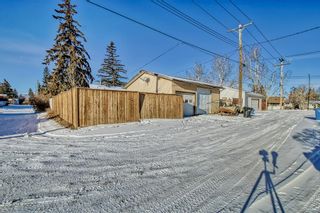 Photo 7: 339 Penswood Way SE in Calgary: Penbrooke Meadows Detached for sale : MLS®# A2015750