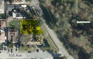 Photo 9: 12872 OLD YALE Road in Surrey: Bridgeview Land for sale (North Surrey)  : MLS®# R2750649