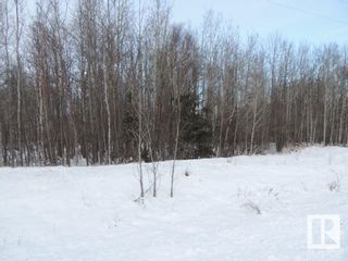 Photo 3: 39 54113 RGE RD 13: Rural Parkland County Rural Land/Vacant Lot for sale : MLS®# E4297451