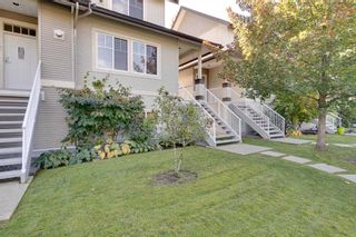 Photo 2: 11 1800 MAMQUAM Road in Squamish: Garibaldi Estates Townhouse for sale in "Virescence" : MLS®# R2315054