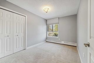 Photo 23: 203 2425 90 Avenue SW in Calgary: Palliser Apartment for sale : MLS®# A2126388