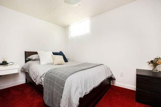Photo 30: 90 Blenheim Avenue in Winnipeg: Residential for sale (2D)  : MLS®# 202315674