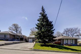 Photo 25: 47 Deevale Road in Toronto: Downsview-Roding-CFB House (Bungalow) for sale (Toronto W05)  : MLS®# W4458656