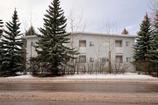 Main Photo: 393 CARNEY Street in Prince George: Central Multi-Family Commercial for sale in "CARNEY PLACE" (PG City Central)  : MLS®# C8048858