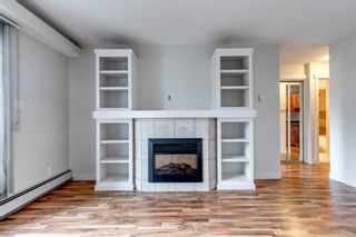 Photo 11: 303 931 2 Avenue NW in Calgary: Sunnyside Apartment for sale : MLS®# A2132323