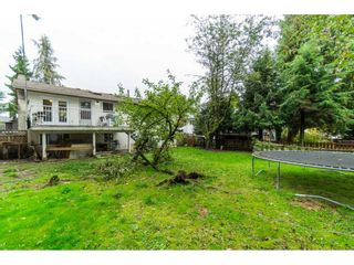 Photo 18: 9159 APPLEHILL Crescent in Surrey: Queen Mary Park Surrey House for sale : MLS®# R2407744