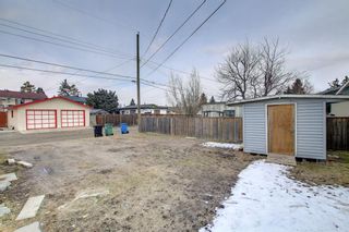 Photo 47: 6024 12 Avenue SE in Calgary: Penbrooke Meadows Detached for sale : MLS®# A1207167