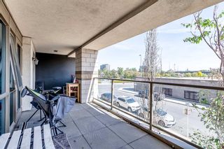 Photo 3: 203 315 3 Street SE in Calgary: Downtown East Village Apartment for sale : MLS®# A2096573