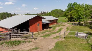 Photo 19: 38052 Range Road 275: Rural Red Deer County Detached for sale : MLS®# A2053564