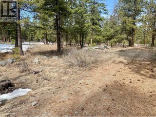 Photo 6: LOT 4 WHITETAIL Place in Osoyoos: Vacant Land for sale : MLS®# 10308924
