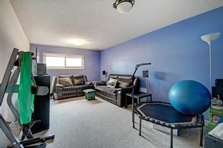 Photo 17: 209 Silver Mead Close NW in Calgary: Silver Springs Semi Detached for sale : MLS®# A1218152