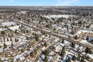 Photo 38: 1419 Acadia Drive SE in Calgary: Lake Bonavista Detached for sale : MLS®# A2034061