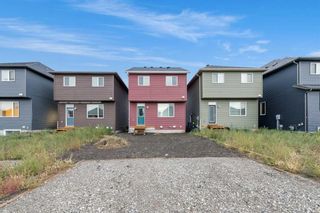 Photo 44: 57 Savanna Manor NE in Calgary: Saddle Ridge Detached for sale : MLS®# A2080930