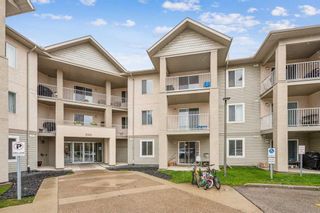 Photo 4: 203 2000 Citadel Meadow Point NW in Calgary: Citadel Apartment for sale : MLS®# A2129443