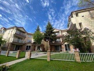 Photo 20: 309 1723 35 Street SE in Calgary: Albert Park/Radisson Heights Apartment for sale : MLS®# A2128173