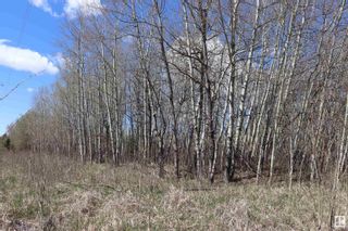 Photo 4: 7 Northbrook Estates: Rural Thorhild County Rural Land/Vacant Lot for sale : MLS®# E4295430