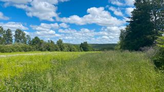 Photo 2: Stellarton Trafalgar Road in Hopewell: 108-Rural Pictou County Vacant Land for sale (Northern Region)  : MLS®# 202215547