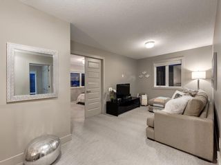 Photo 29: 34 EVANSVIEW Court NW in Calgary: Evanston Detached for sale : MLS®# C4226222