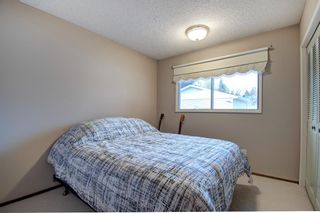 Photo 20: 9607 24 Street SW in Calgary: Oakridge Detached for sale : MLS®# A1162408