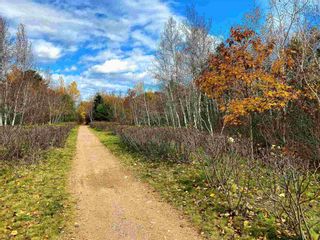 Photo 3: LOT 0 Aalders Avenue in New Minas: Kings County Vacant Land for sale (Annapolis Valley)  : MLS®# 202223092