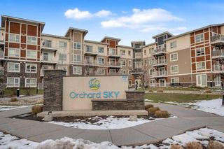 Photo 1: 4411 302 Skyview Ranch Drive NE in Calgary: Skyview Ranch Apartment for sale : MLS®# A2129297