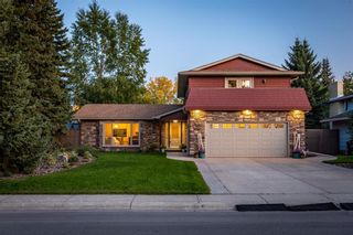 Photo 40: 10708 WILLOWFERN Drive SE in Calgary: Willow Park Detached for sale : MLS®# A1016709