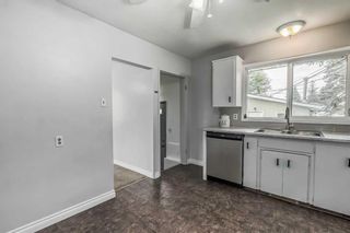 Photo 7: 1519 47 Street SE in Calgary: Forest Lawn Detached for sale : MLS®# A2066974