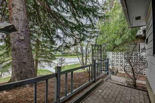 Photo 3: 4520 Charleswood Drive NW in Calgary: Charleswood Detached for sale : MLS®# A2130197
