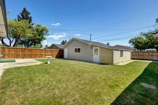 Photo 30: 2228 38 Street SE in Calgary: Forest Lawn Detached for sale : MLS®# A2051536
