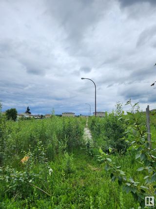 Photo 7: 12 Avenue & 16 Street: Cold Lake Vacant Lot/Land for sale : MLS®# E4327054