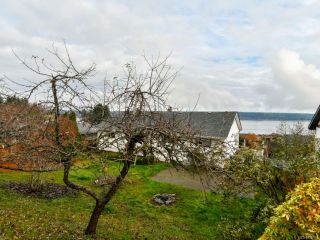 Photo 58: 156 S Murphy St in CAMPBELL RIVER: CR Campbell River Central House for sale (Campbell River)  : MLS®# 828967