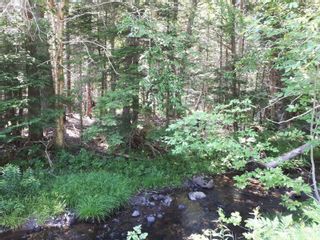 Photo 3: Meiklefield Road in Meiklefield: 108-Rural Pictou County Vacant Land for sale (Northern Region)  : MLS®# 202117504