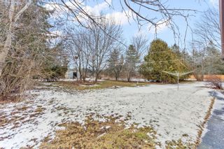 Photo 7: 310 W Columbus Road in Whitby: Brooklin Property for sale : MLS®# E5877384