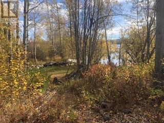 Photo 12: LOT B MOOSEHORN ROAD in Burns Lake: Vacant Land for sale : MLS®# R2731680
