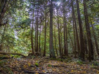 Photo 3: Lot D Conery Cres in Pender Island: GI Pender Island Land for sale (Gulf Islands)  : MLS®# 945164