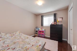 Photo 24: 4618 163 Avenue in Edmonton: Zone 03 House for sale : MLS®# E4379181