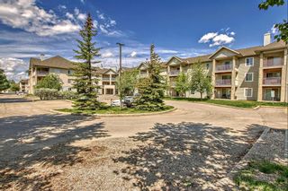 Main Photo: 116 4000 Citadel Meadow Point NW in Calgary: Citadel Apartment for sale : MLS®# A2053460