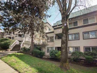 Photo 20: 301 1310 CARIBOO Street in New Westminster: Uptown NW Condo for sale : MLS®# R2252659