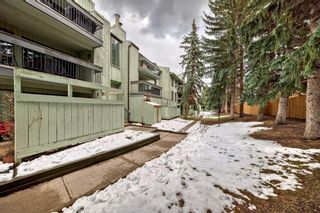 Photo 36: 518 10120 Brookpark Boulevard SW in Calgary: Braeside Apartment for sale : MLS®# A2128653