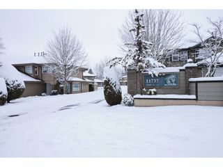Photo 18: 12 11737 236 Street in Maple Ridge: Cottonwood MR Townhouse for sale in "MAPLEWOOD CREEK" : MLS®# R2340245