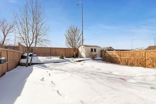 Photo 35: 238 New Brighton Mews SE in Calgary: New Brighton Detached for sale : MLS®# A2032876
