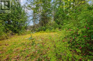 Photo 41: Lot 13 Island Hwy W in Bowser: Vacant Land for sale : MLS®# 961835