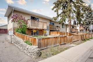 Photo 2: 724C Raynard Crescent SE in Calgary: Albert Park/Radisson Heights Row/Townhouse for sale : MLS®# A1219247