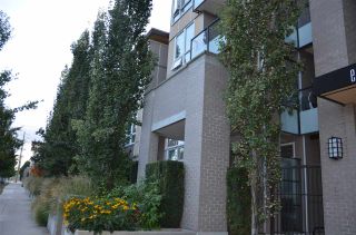 Photo 3: 410 55 EIGHTH Avenue in New Westminster: GlenBrooke North Condo for sale : MLS®# R2215008
