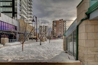 Photo 30: 203 215 14 Avenue SW in Calgary: Beltline Apartment for sale : MLS®# A1092010