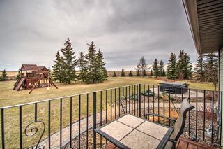 Photo 30: 271130 Rge Rd 13 NW: Airdrie Detached for sale : MLS®# A2043300