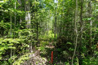 Photo 17: Lot 8 Old Renfrew Road in Upper Rawdon: 105-East Hants/Colchester West Vacant Land for sale (Halifax-Dartmouth)  : MLS®# 202306243