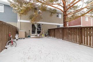 Photo 15: 82 5935 63 Street: Red Deer Row/Townhouse for sale : MLS®# A2118590
